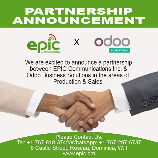 Odoo ERP Consultation